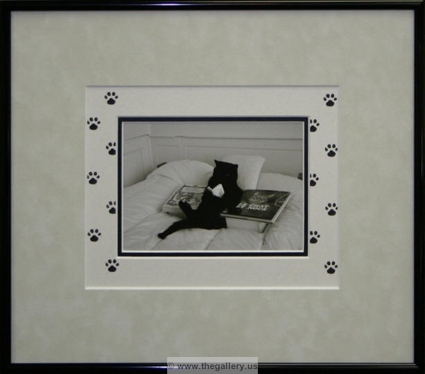 Unique matting on cat photo.






The Gallery at Brookwood
www.thegallery.us
770-941-3394
Your Custom Framing Expert
Picture Framing Examples
Custom Framing Examples
Shadowbox Examples
creative_matting