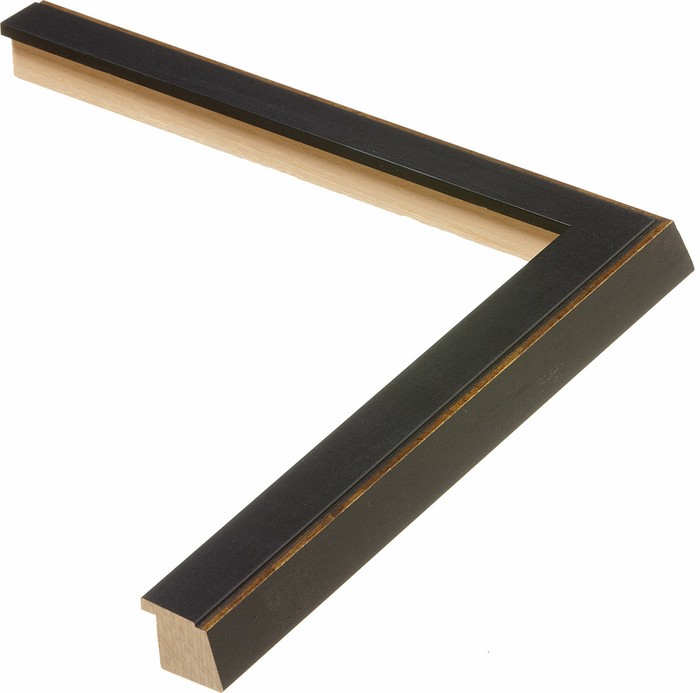 Roma Moulding 103105
Custom frames and moulding shipped natonwide.
Call 770-941-3394