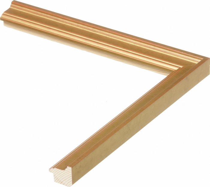 Roma Moulding 26855
Custom frames and moulding shipped natonwide.
Call 770-941-3394