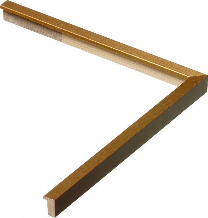 Roma Moulding 29455
Custom frames and moulding shipped natonwide.
Call 770-941-3394