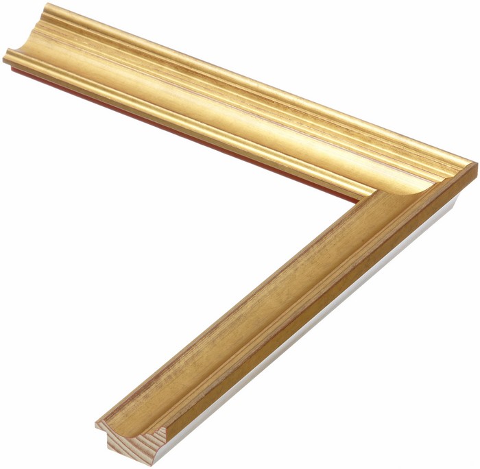 Roma Moulding 29755
Custom frames and moulding shipped natonwide.
Call 770-941-3394