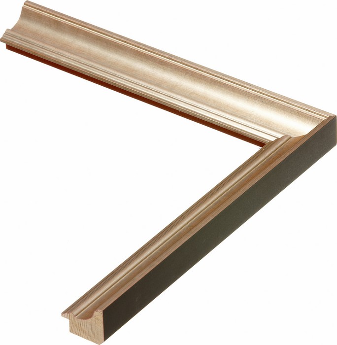 Roma Moulding 30554
Custom frames and moulding shipped natonwide.
Call 770-941-3394