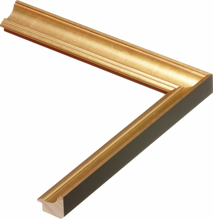 Roma Moulding 30555
Custom frames and moulding shipped natonwide.
Call 770-941-3394
