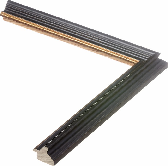 Roma Moulding 383005
Custom frames and moulding shipped natonwide.
Call 770-941-3394