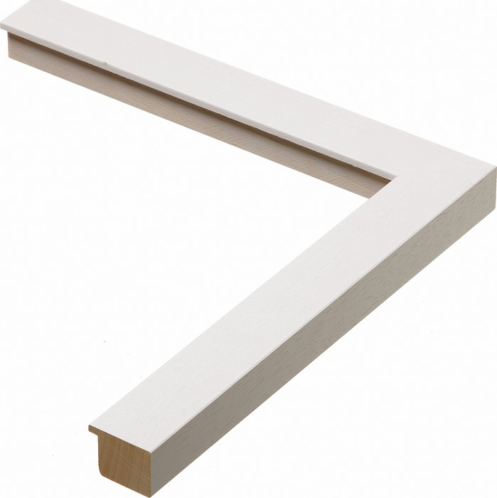 Roma Moulding 40440009
Custom frames and moulding shipped natonwide.
Call 770-941-3394