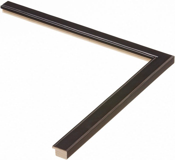 Roma Moulding 691001
Custom frames and moulding shipped natonwide.
Call 770-941-3394